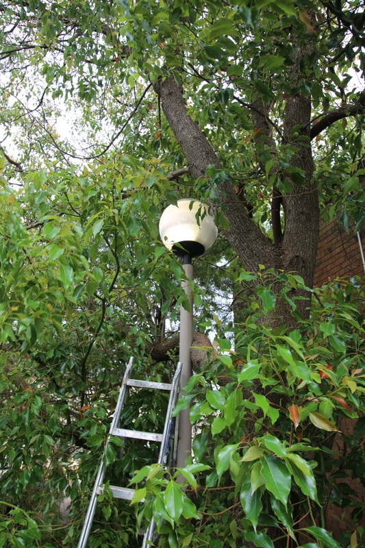 Garden ball light retrofit with LED 60 watt