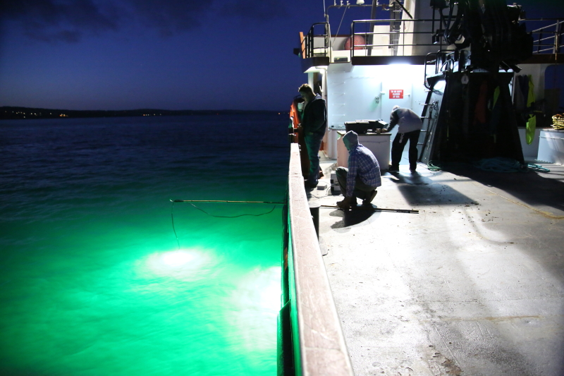 LED fish attracting lights underwater ip68 tube design