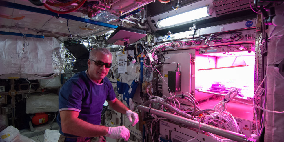 Growing plants in space with LED Plant Grow Lights