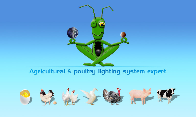 Eco Industrial Supplies the Agricultural and poultry lighting system expert