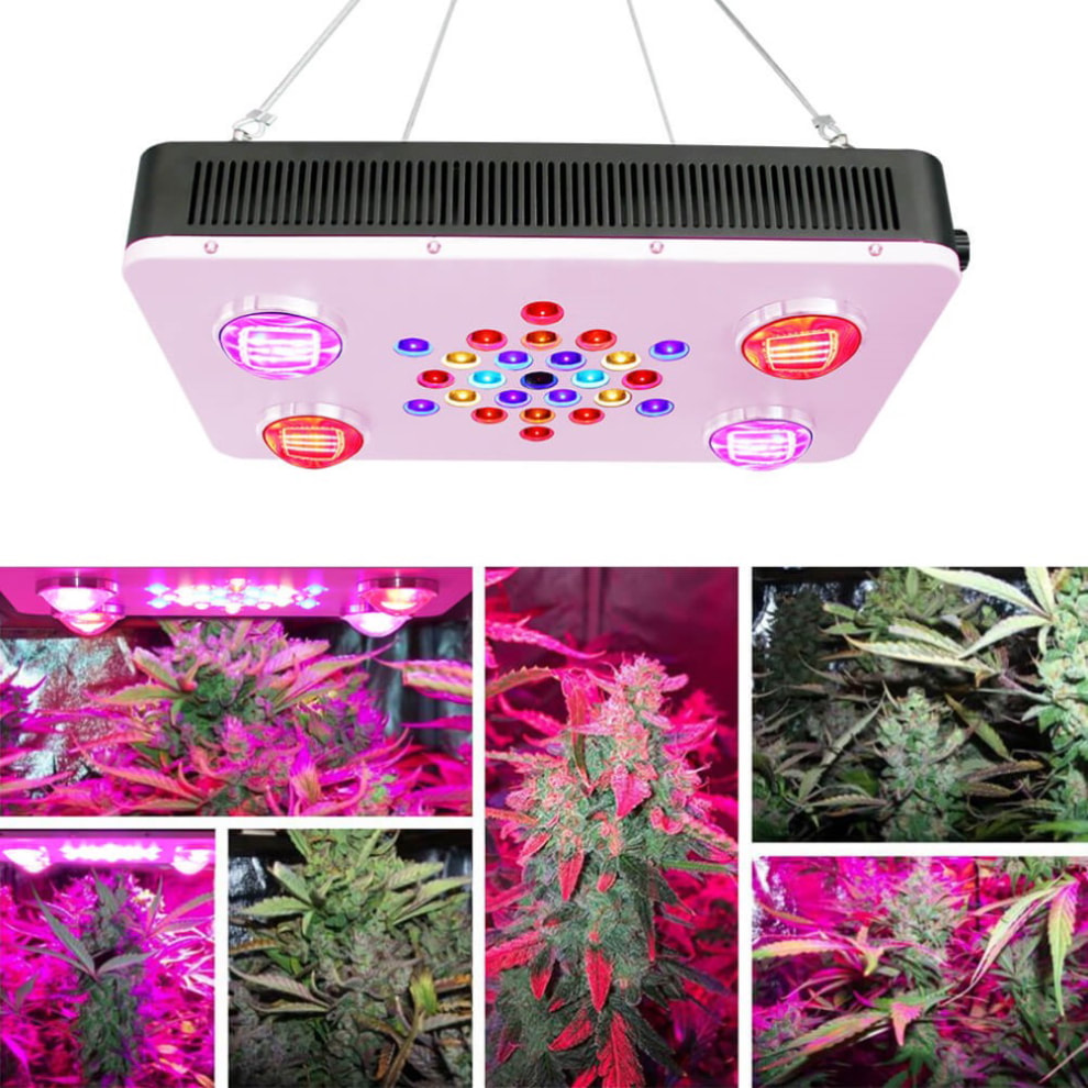 Full spectrum led grow lights and Hydroponic lights available from Eco Industrial Supplies.