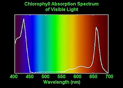 Grow lights are measured in a PAR value and is also related to plant chlorophyll absorbtion