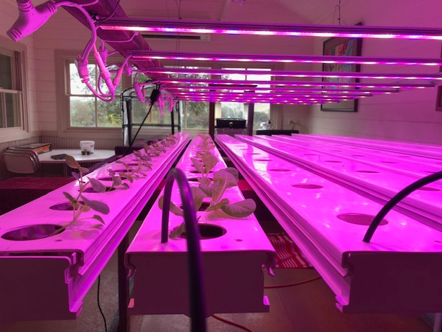 10 bar hydroponic lighting set up for growing vegetables available from Eco Industrial Supplies