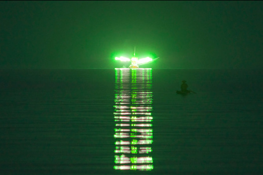 Green light for fishing at night