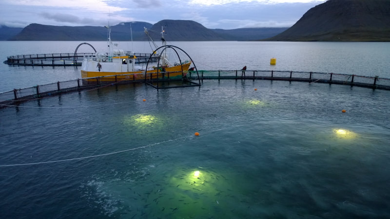 Fishing lights used in the aquaculture industry available from Eco Industrial Supplies